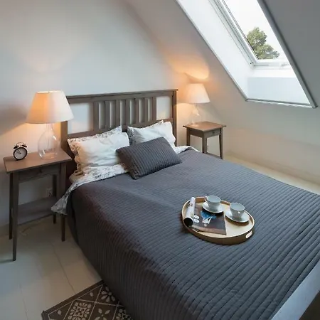 Apartamenty Pluszne Pluski Exterior foto