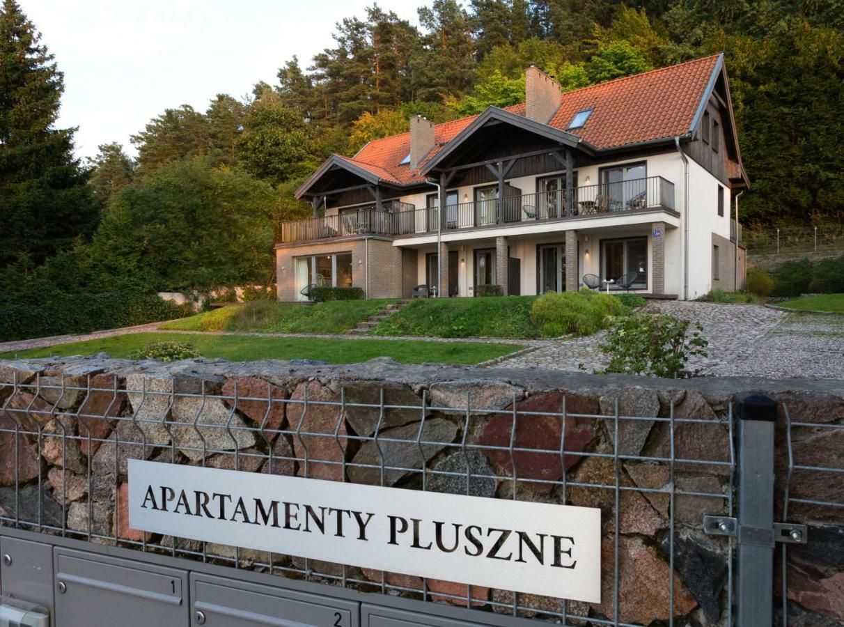 Apartment Pluszne
